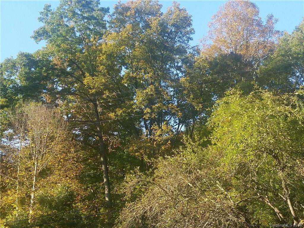 96 Pisgah Mountain Road - Photo 15