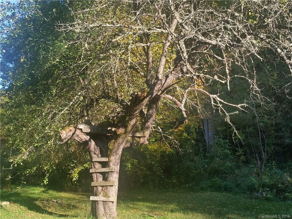 96 Pisgah Mountain Road - Photo 17