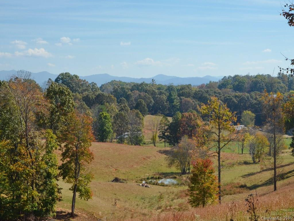 580 Piney Knob Road - Photo 3