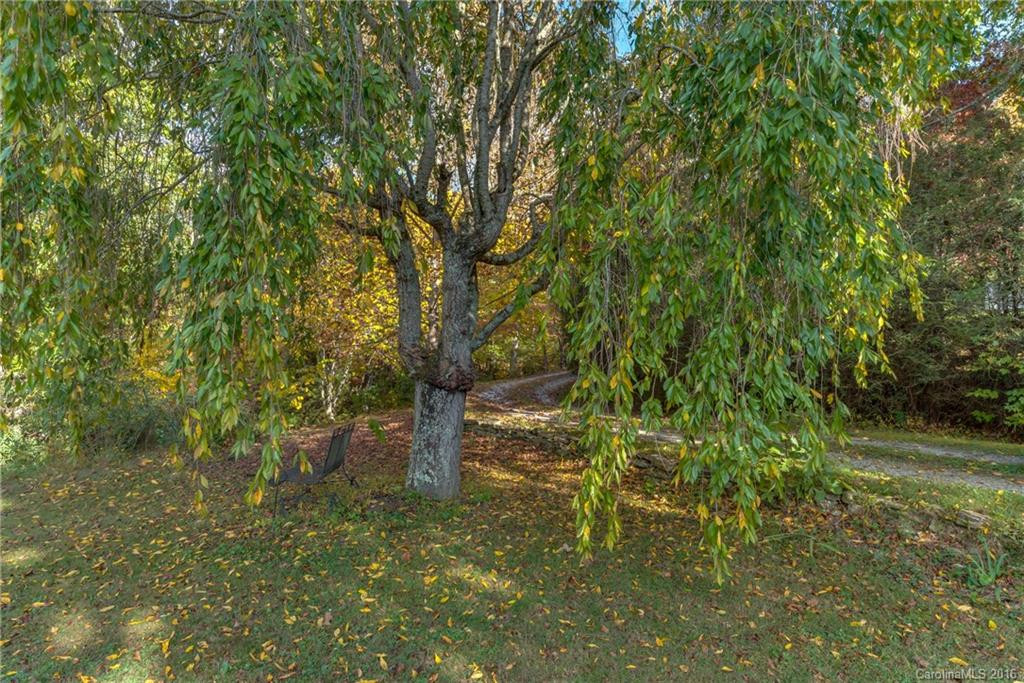 41 Conifer Court - Photo 24