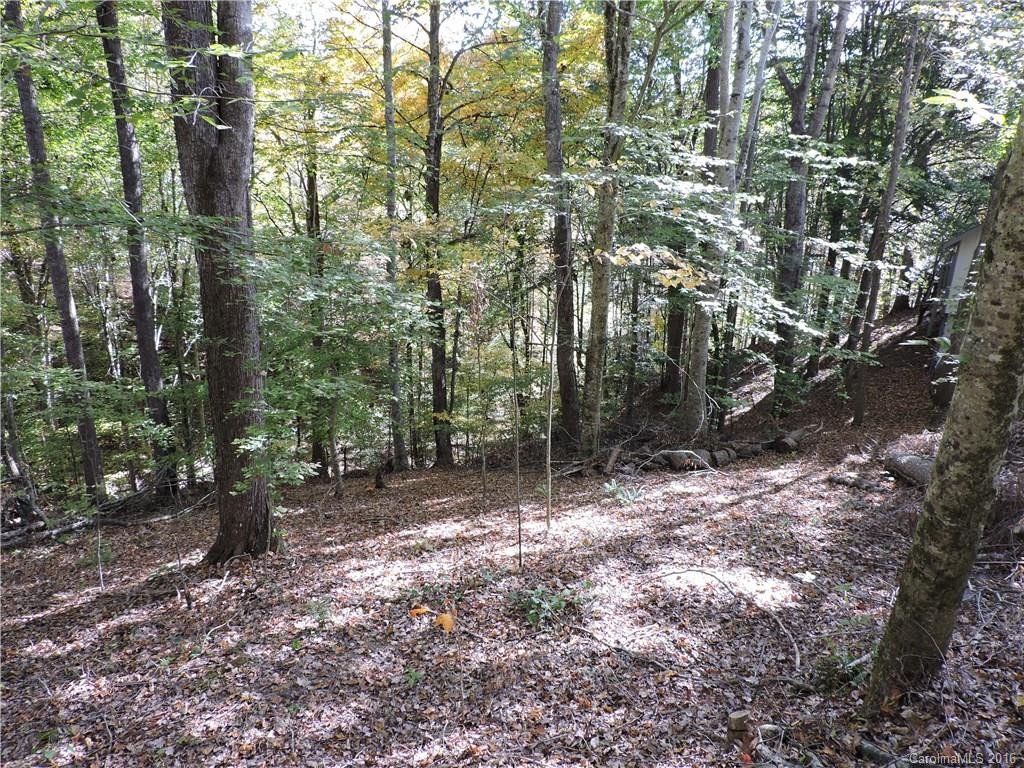 141 Turtle Dove Trail #000634 - Photo 20