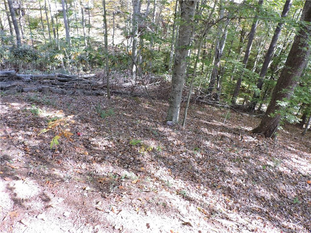141 Turtle Dove Trail #000634 - Photo 21