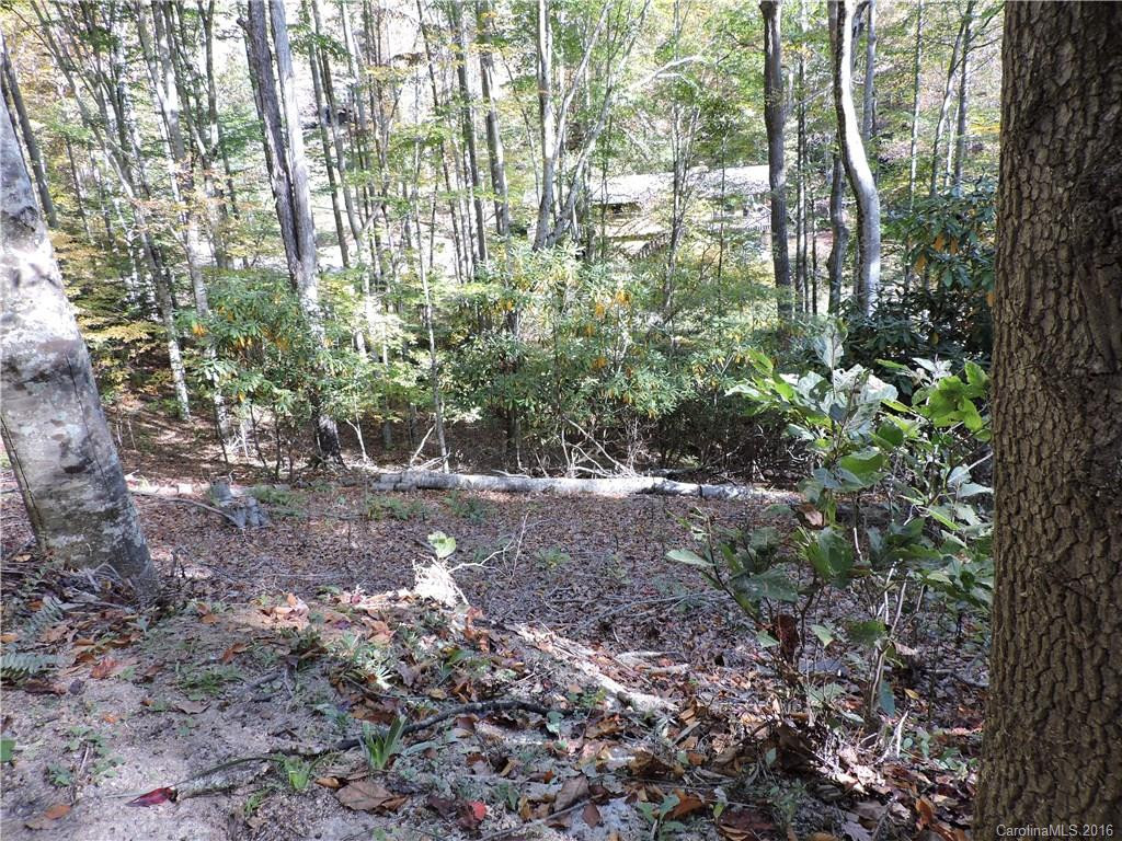 141 Turtle Dove Trail #000634 - Photo 23