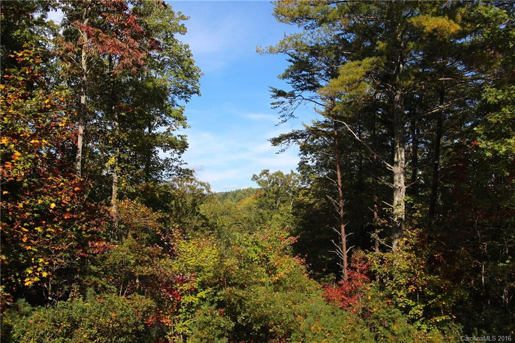 54 Oak Laurel Road #Lot 88A - Photo 2