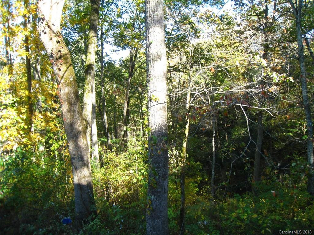 88 Johnny Marlow Road #12 - Photo 15