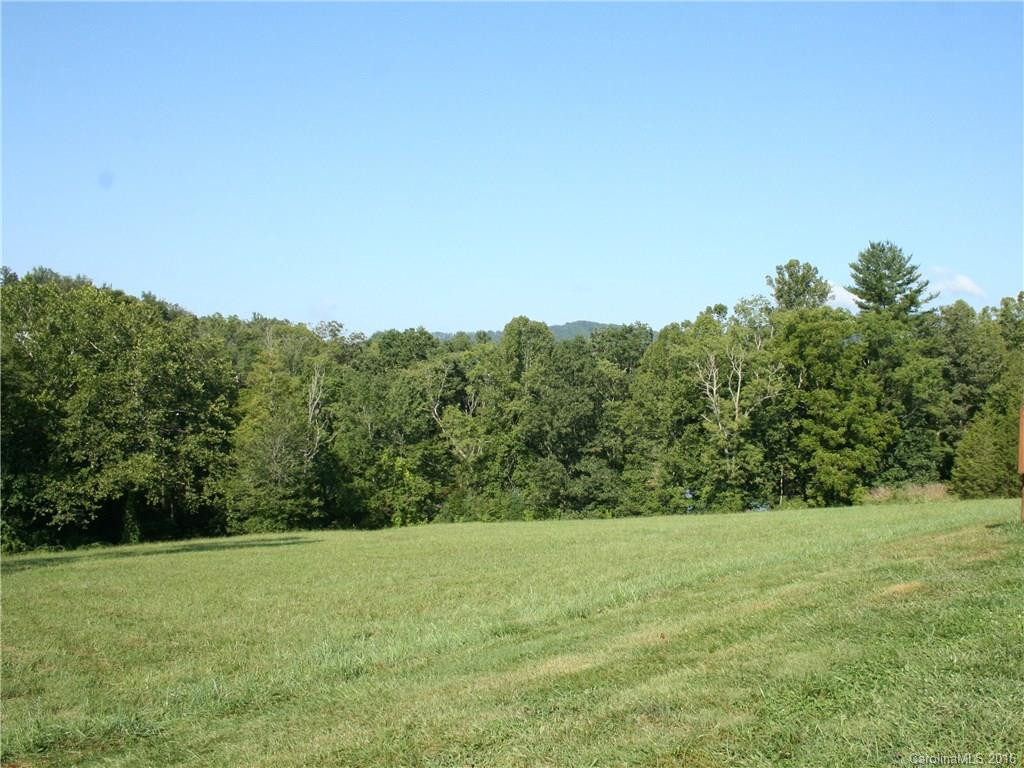 Lot 50 Falling Star Court #50 - Photo 4