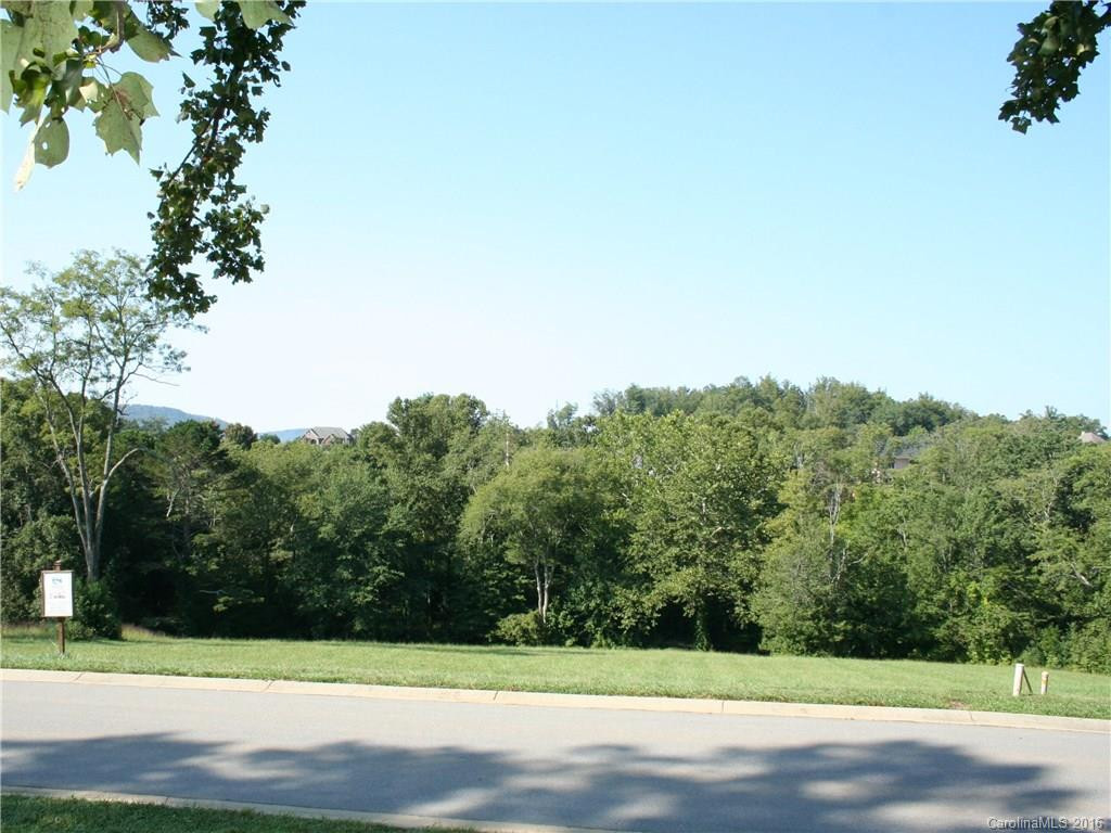 Lot 50 Falling Star Court #50 - Photo 5