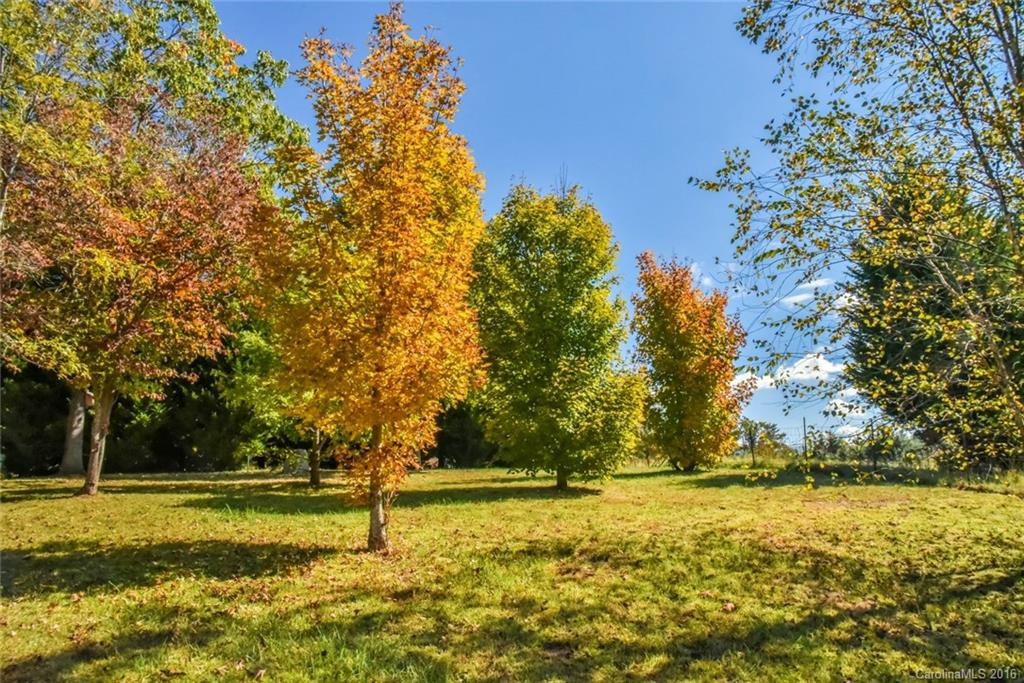 20 Pine Forest Drive - Photo 5