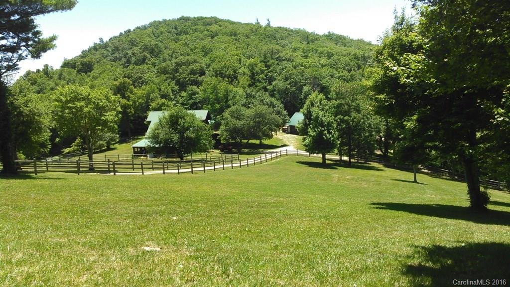 5016A Bearwallow Mountain Road - Photo 14