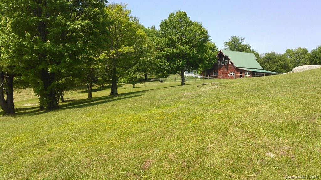 5016A Bearwallow Mountain Road - Photo 15
