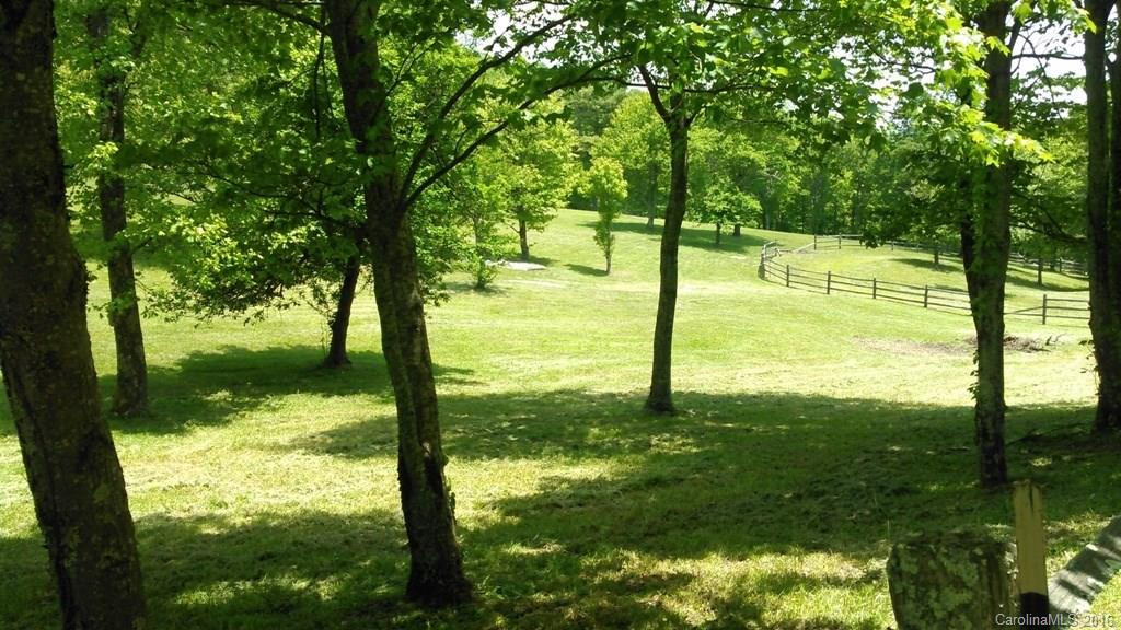 5016A Bearwallow Mountain Road - Photo 20
