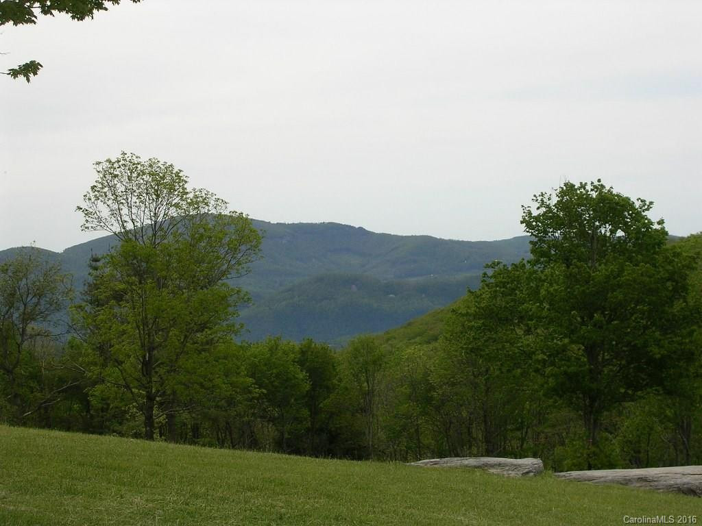 5016A Bearwallow Mountain Road - Photo 21