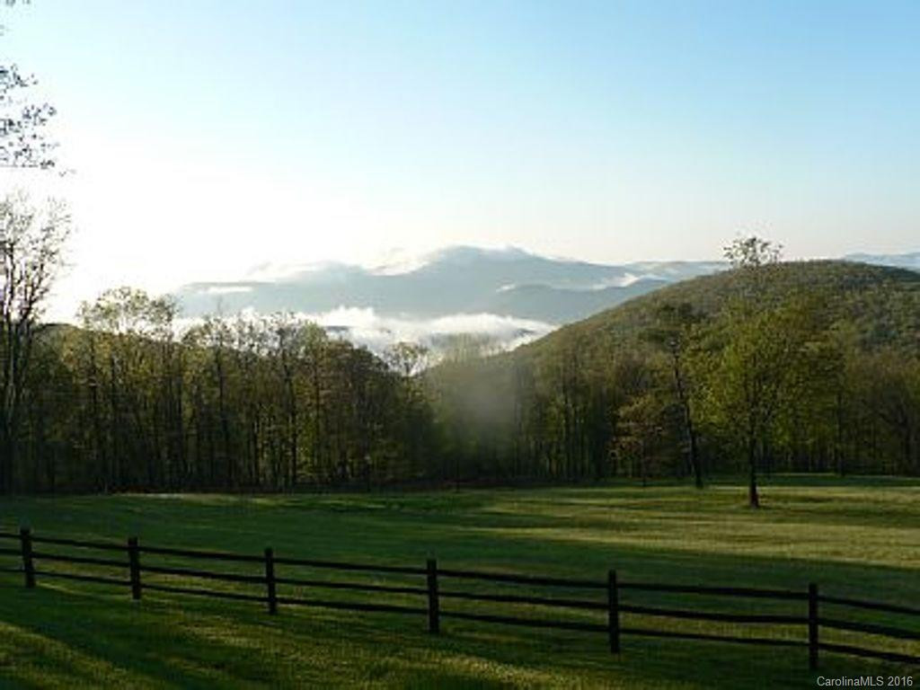 5016A Bearwallow Mountain Road - Photo 22