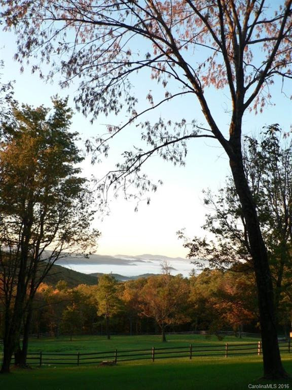 5016A Bearwallow Mountain Road - Photo 23