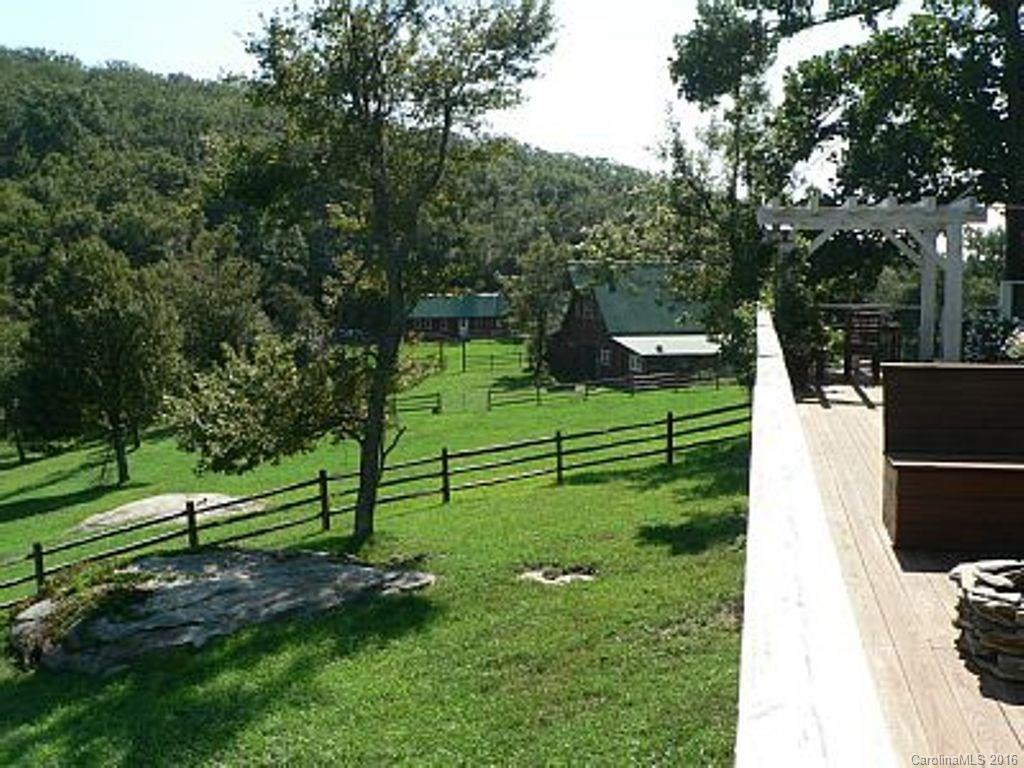 5016A Bearwallow Mountain Road - Photo 10