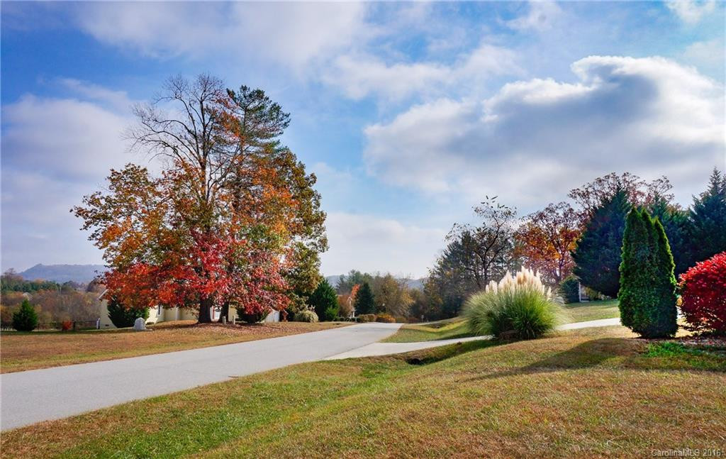 91 Lewis Creek Drive #17 - Photo 20