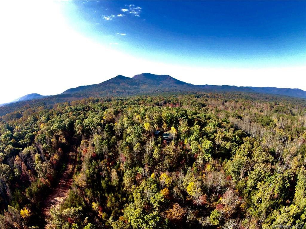 250 Burt Blackwell Road - Photo 6