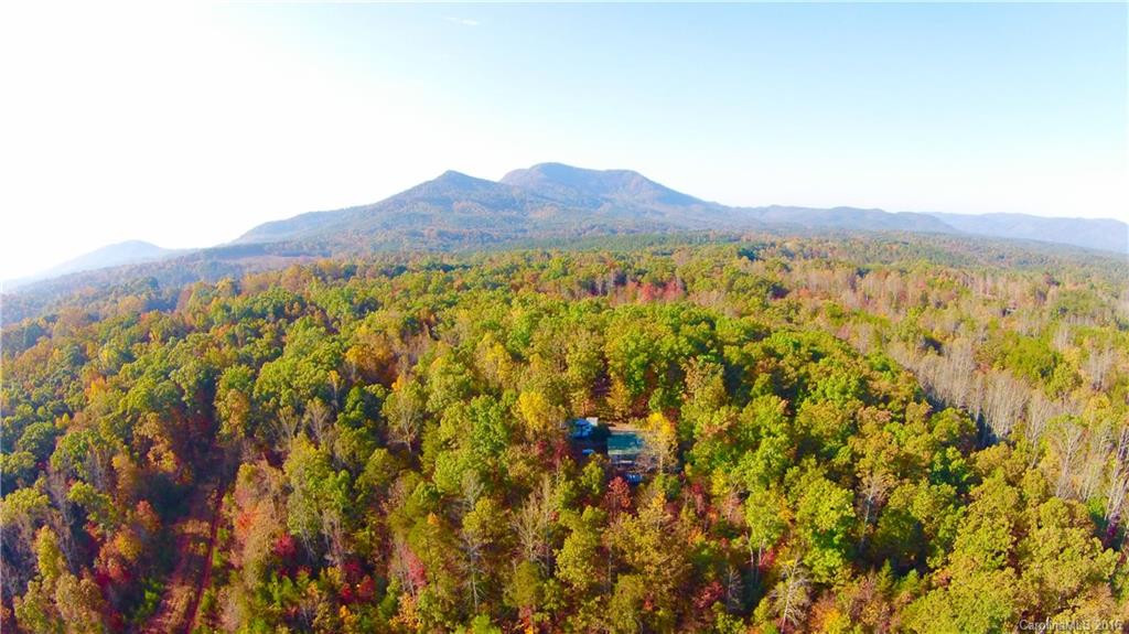 250 Burt Blackwell Road - Photo 7