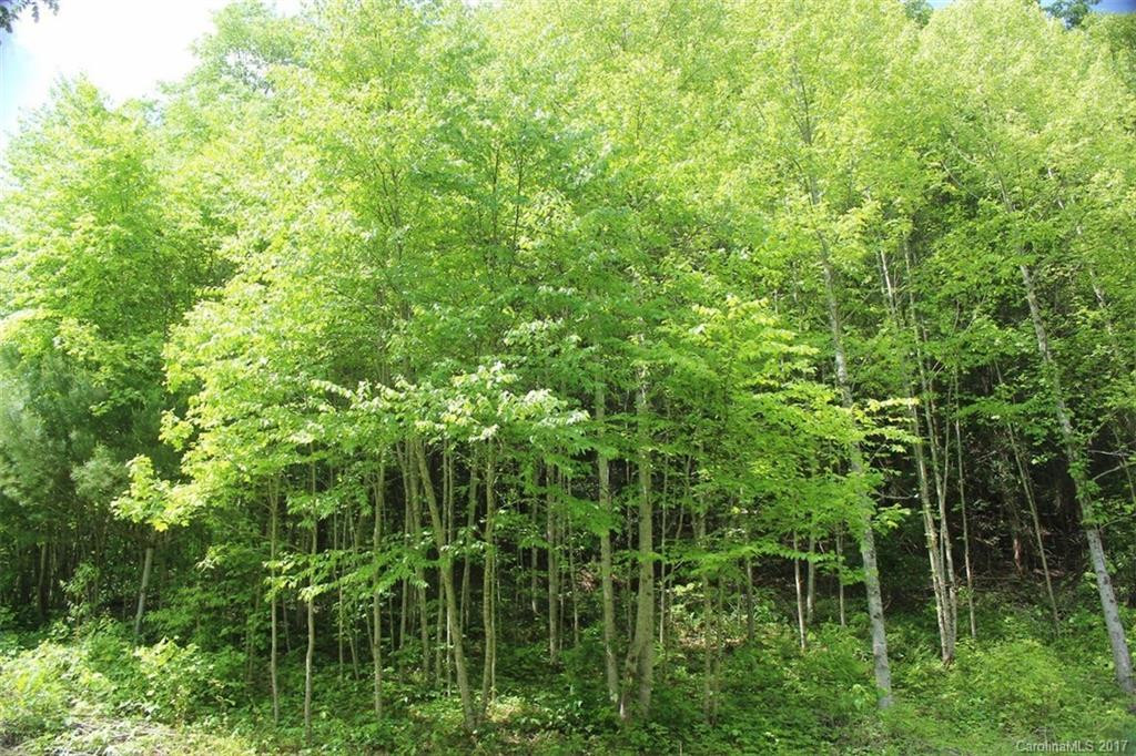 6018 Meadow Fork Road - Photo 24