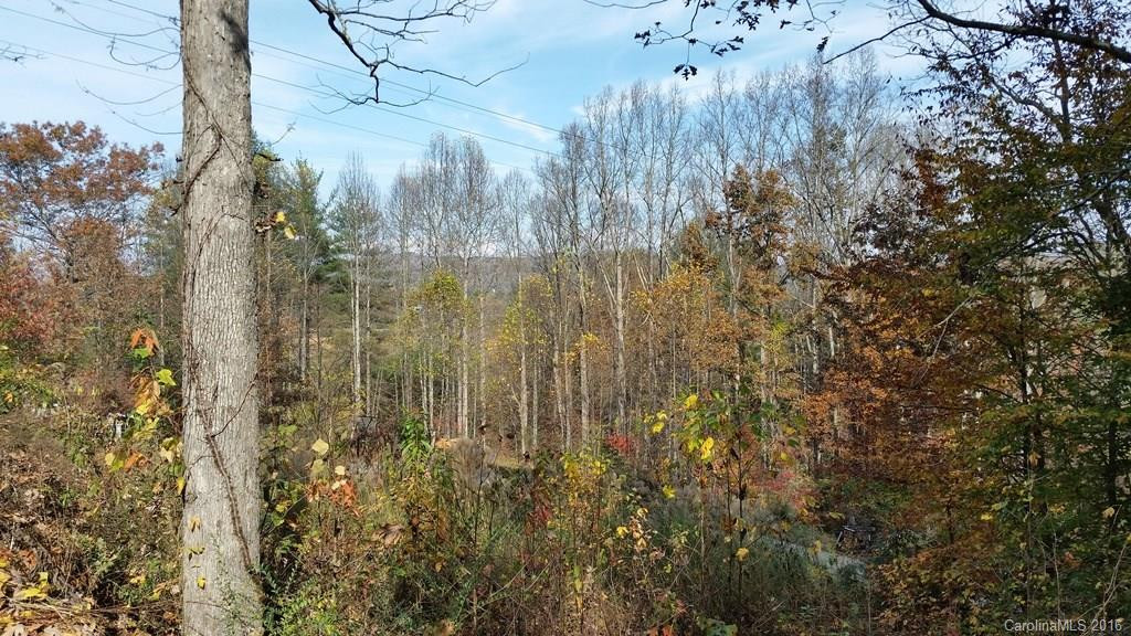 76 Pleasant Ridge Road - Photo 12