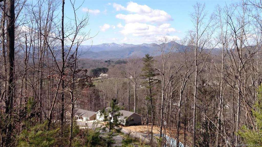 97 Luther Cove Road #46 - Photo 2