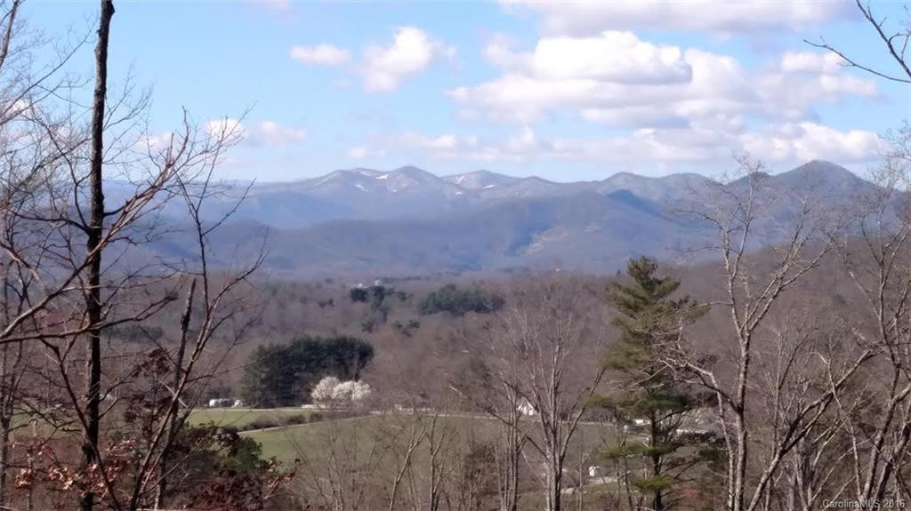 101 Luther Cove Road #45 - Photo 3