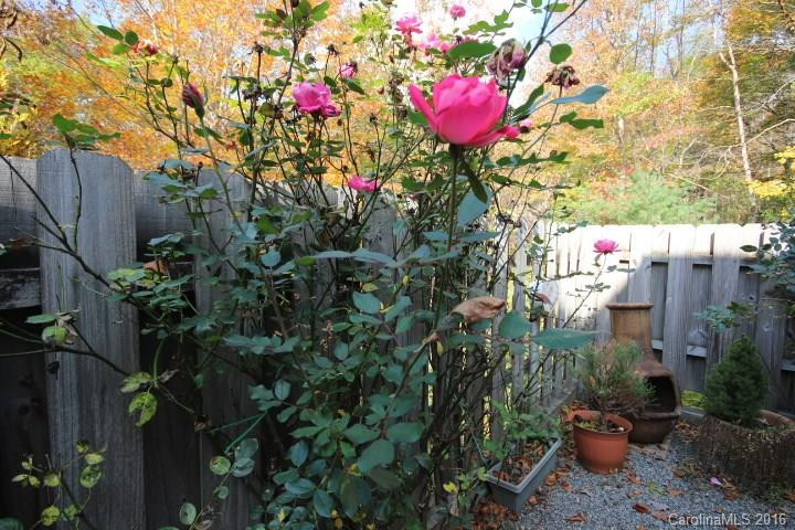 401 Silver Fox Lane - Photo 16