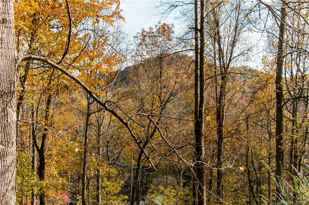 344 Hookers Gap Road - Photo 4