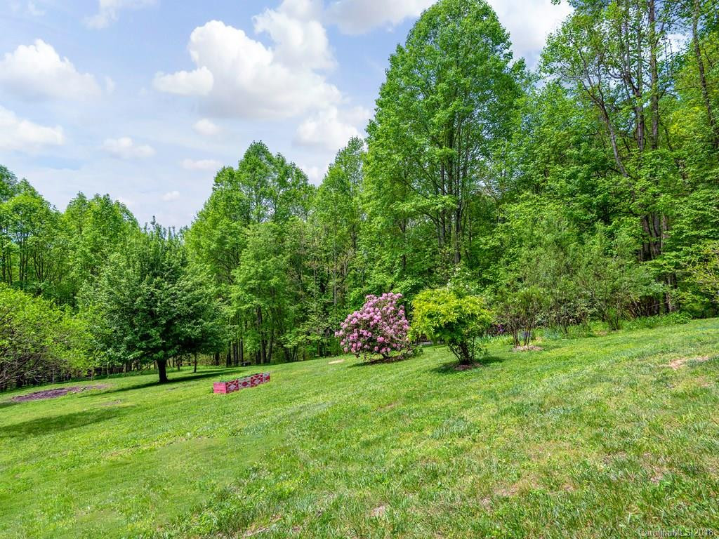1052 Black Pine Ridge Road - Photo 26
