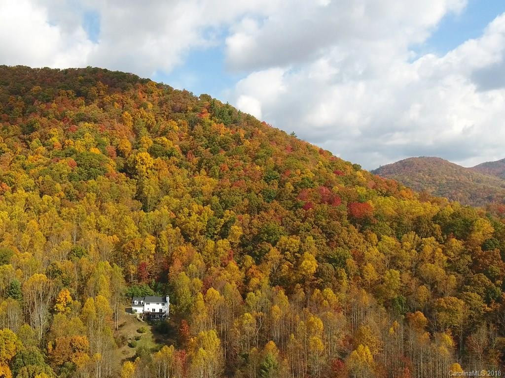 1052 Black Pine Ridge Road - Photo 30