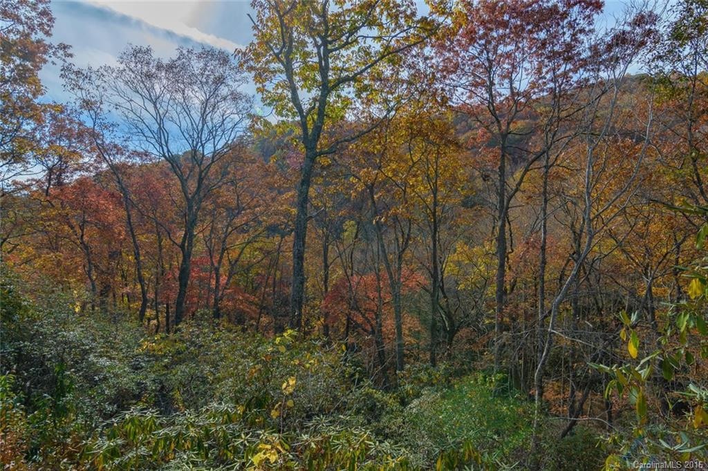7 Red Oak Forest Lane - Photo 19