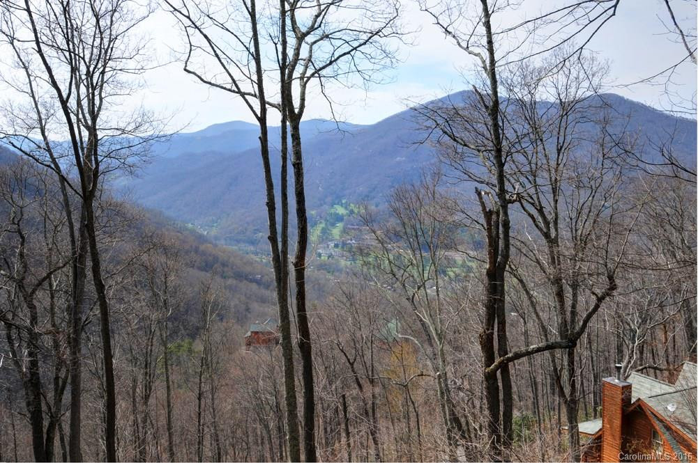 534 Tsalagi Trail - Photo 4