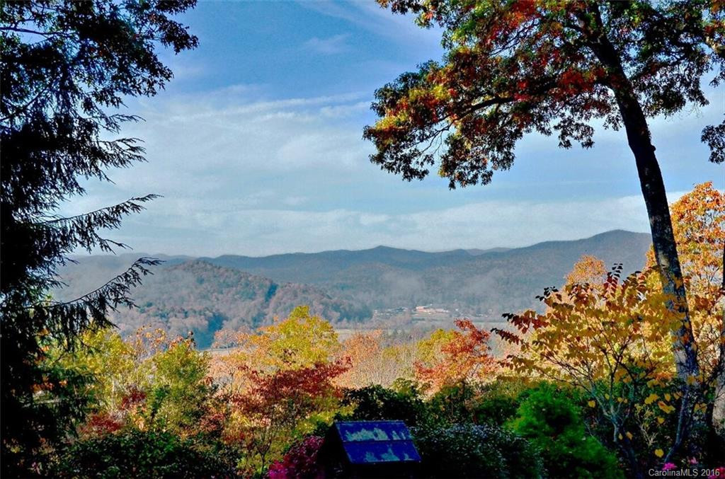 524 Three Mile Knob Road #4 - Photo 4