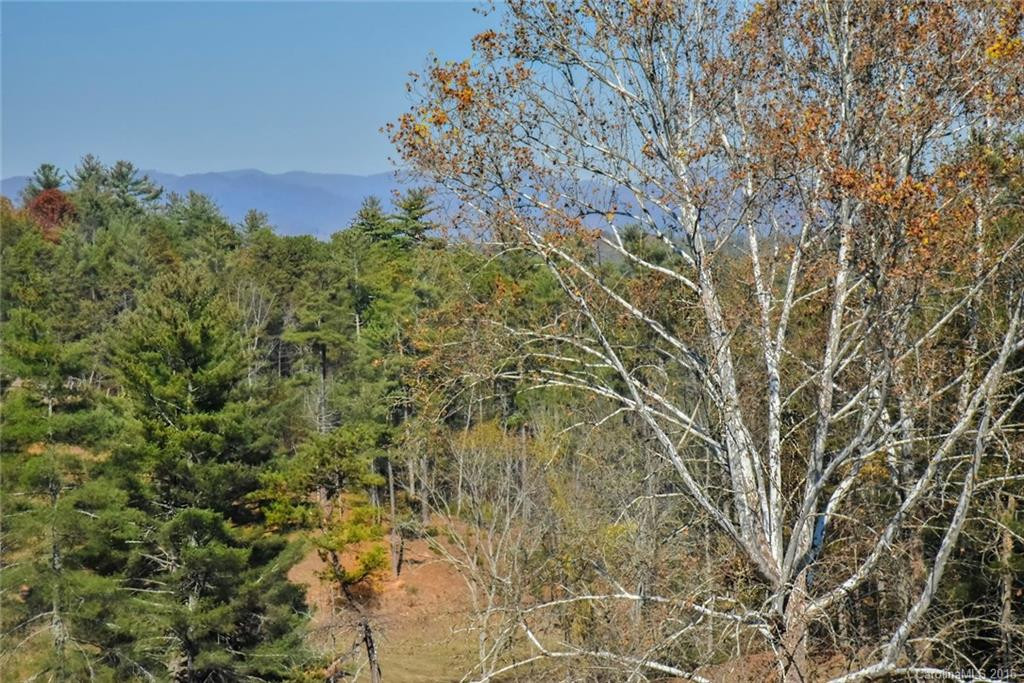 649 Locust Grove Road - Photo 21