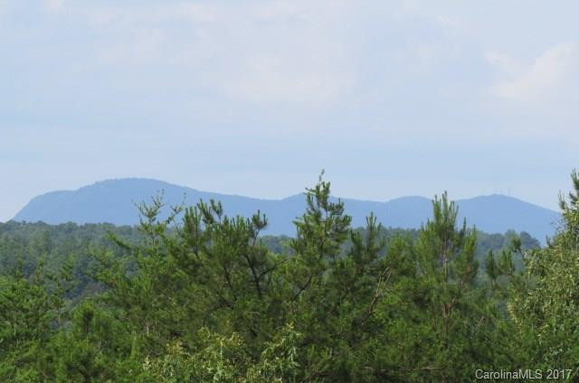 282 Calhoun Trail - Photo 2