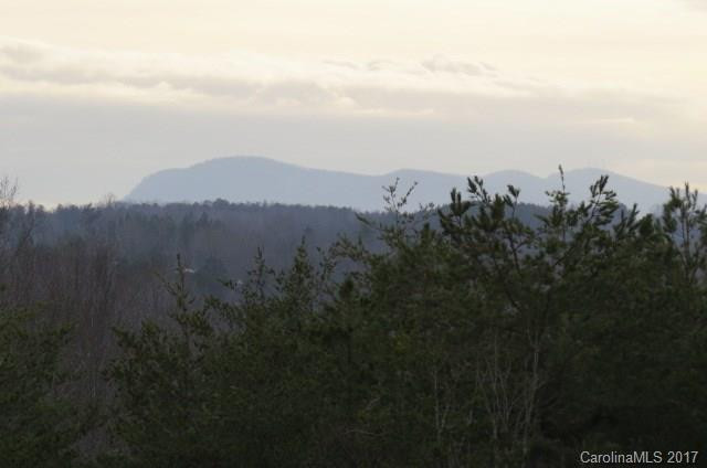 282 Calhoun Trail - Photo 11