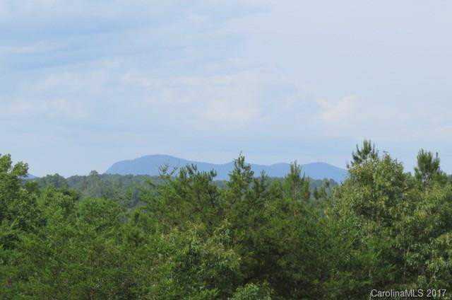 282 Calhoun Trail - Photo 24