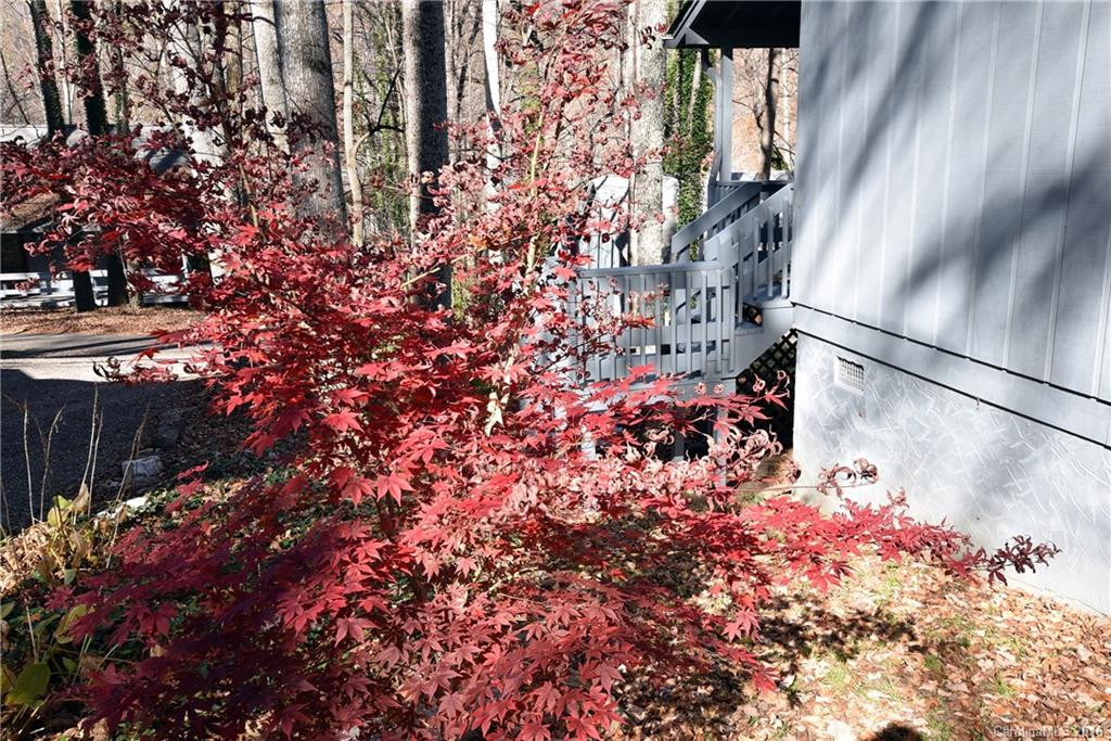 27 Gail Drive #9 - Photo 6