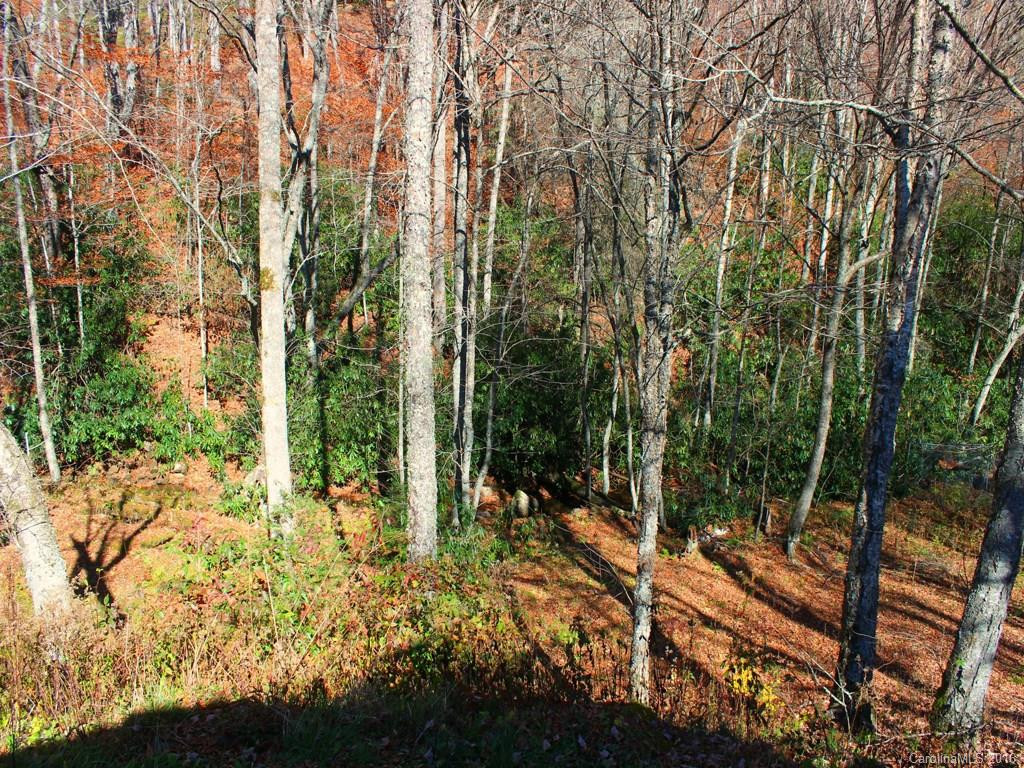 560 Mashstomp Road - Photo 14