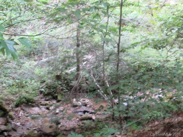 25 Fork Ridge Run Road - Photo 21