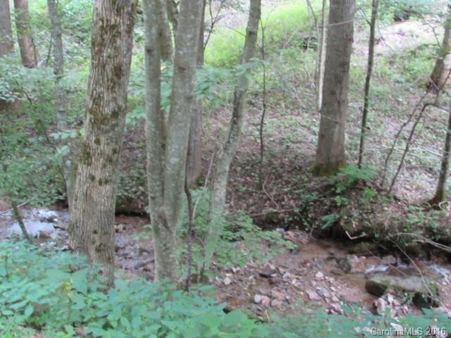 25 Fork Ridge Run Road - Photo 5
