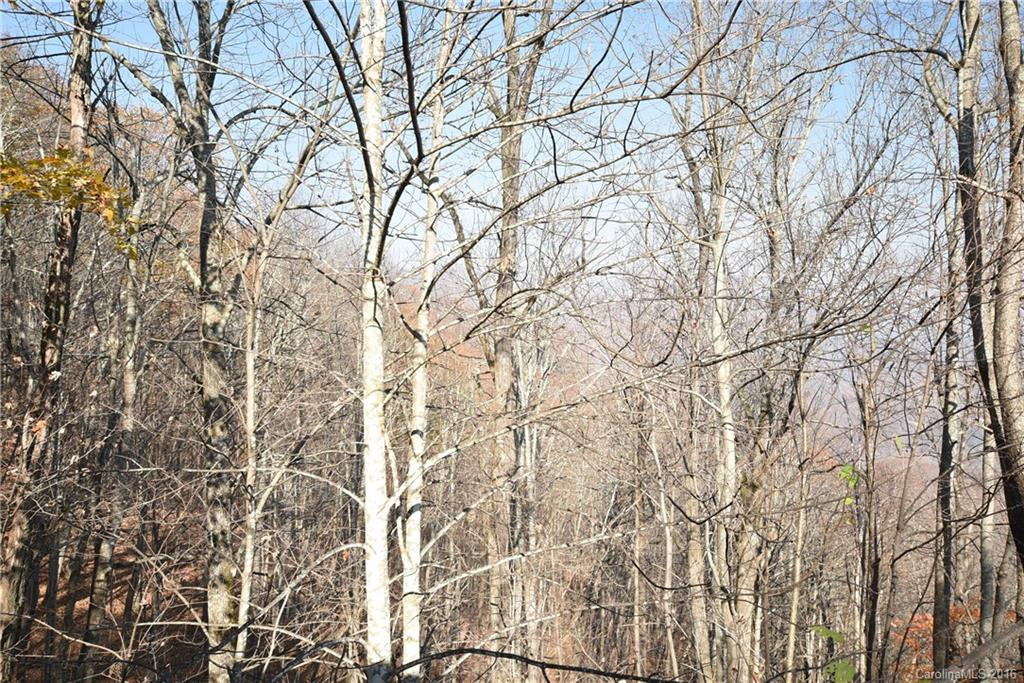 416 Huckleberry Drive #17 - Photo 7