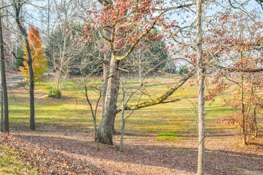 19 Mountain Shadows Drive - Photo 24