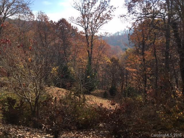 1424 Wolfpen Road - Photo 6
