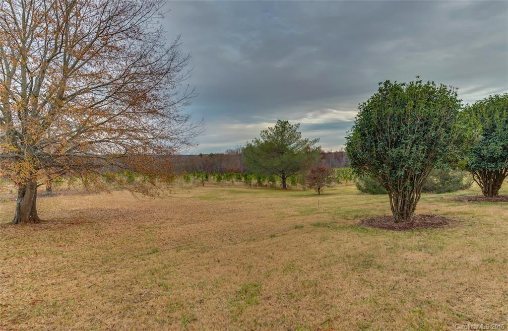 184 Woodset Drive - Photo 4