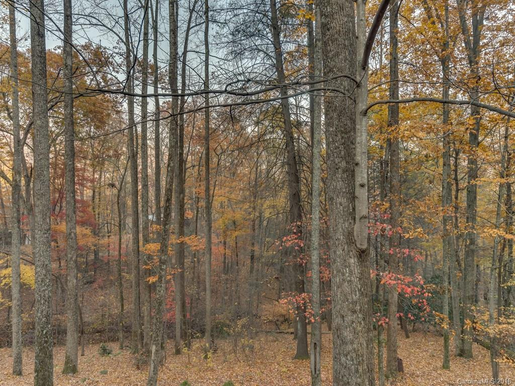 116 Lady Slipper Trail #3 - Photo 18