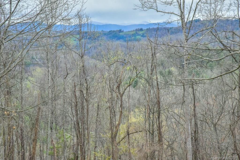 3942 Anderson Branch Road - Photo 6