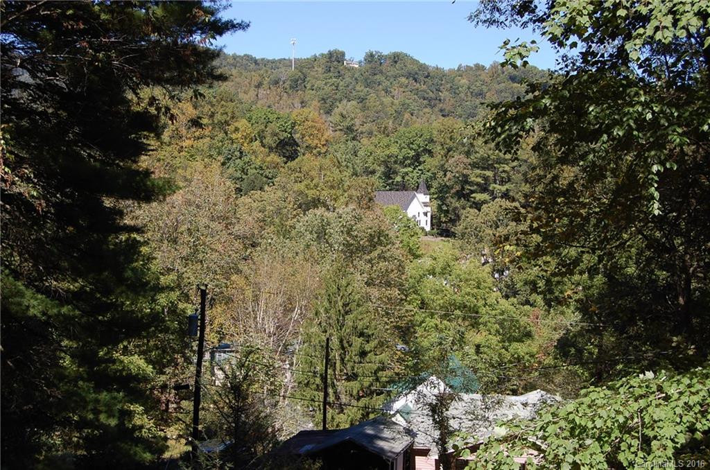 32 Lower Bat Cave Drive - Photo 4