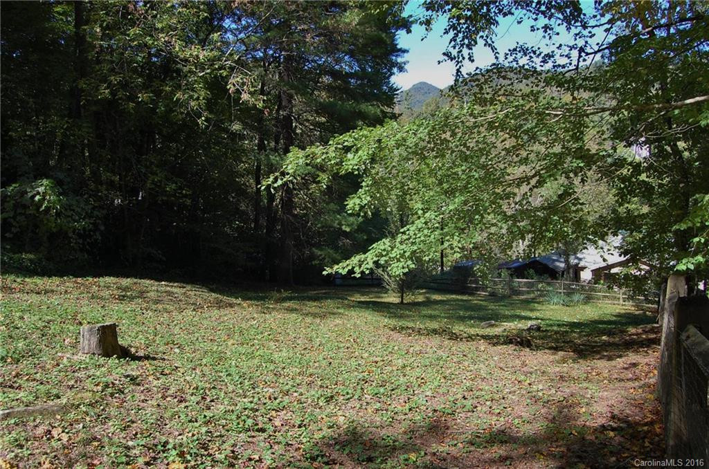 32 Lower Bat Cave Drive - Photo 6