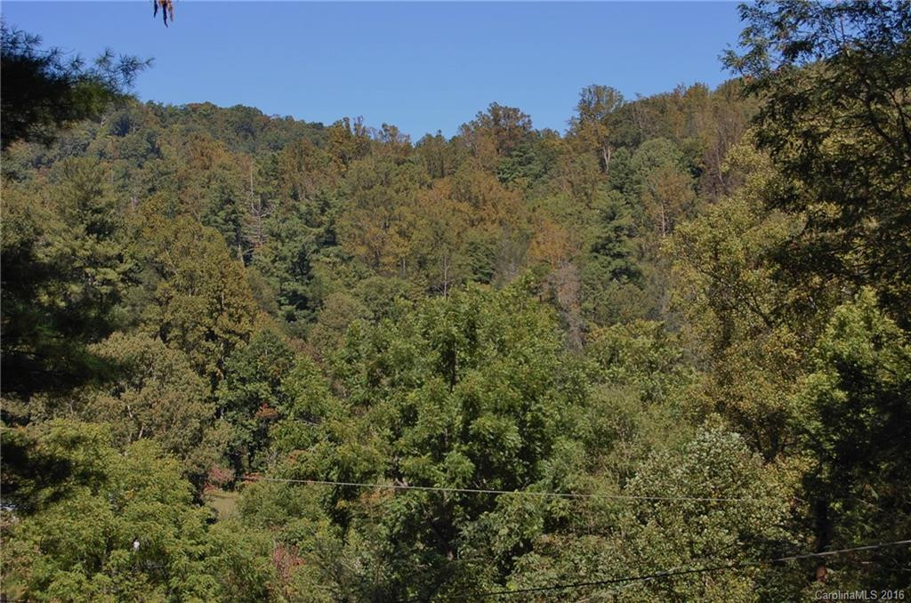 32 Lower Bat Cave Drive - Photo 8